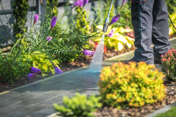 Best Winterizing Services  in Woxall, PA