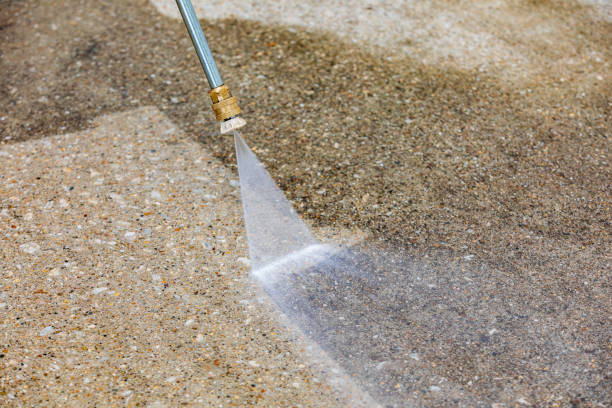 Best Pre-Holiday Cleaning  in Woxall, PA