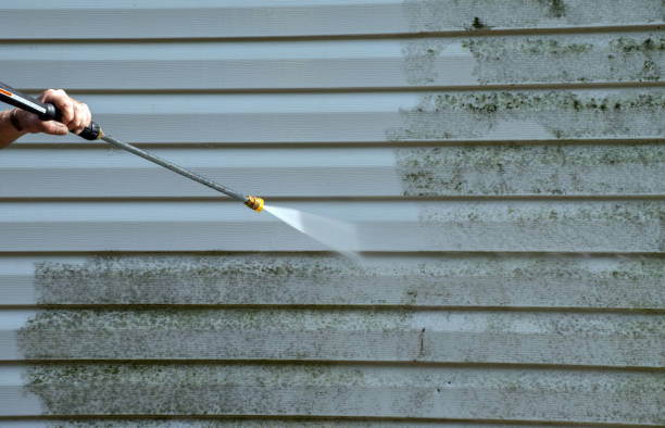 Best Fence Cleaning  in Woxall, PA